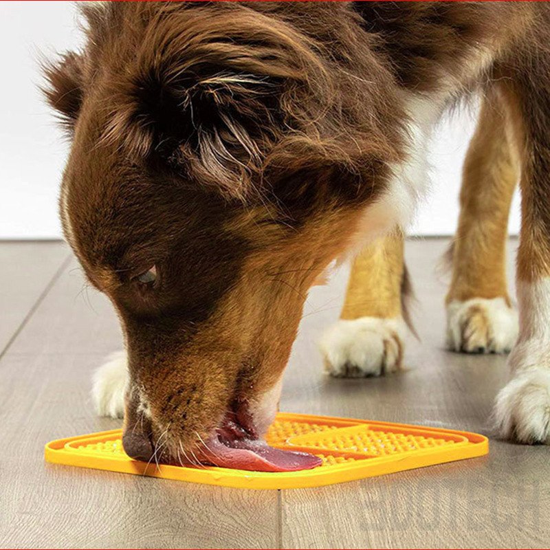 Silicone vs Plastic for Pet Bowls & Feeding | 3DOTECH